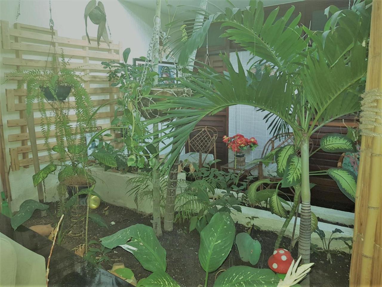 Pousada Terra Garrida Maceió 외부 사진
